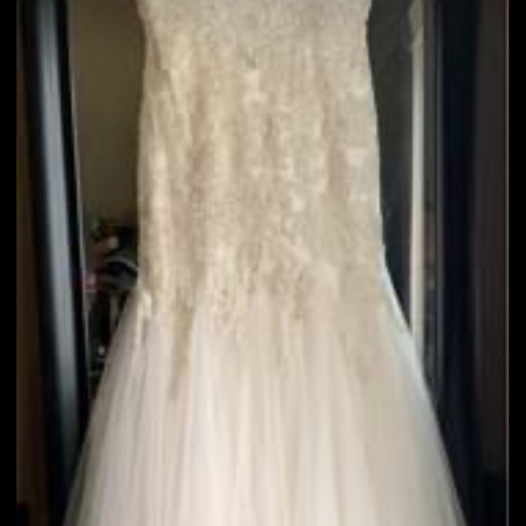 Beautiful Champagne Wedding Dress - Picture 6 of 9
